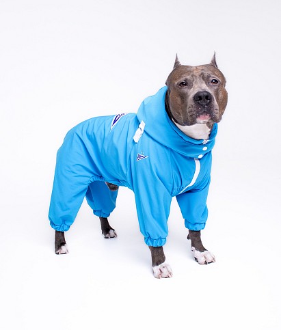 Rainsuit for dogs Zenit